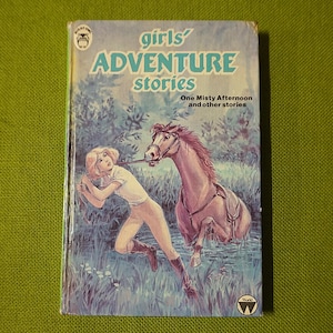 Histórias de aventura para meninas - Série de livros Night Owl - Uma tarde enevoada e outras histórias - Capa dura vintage de 1985 - Livro infantil