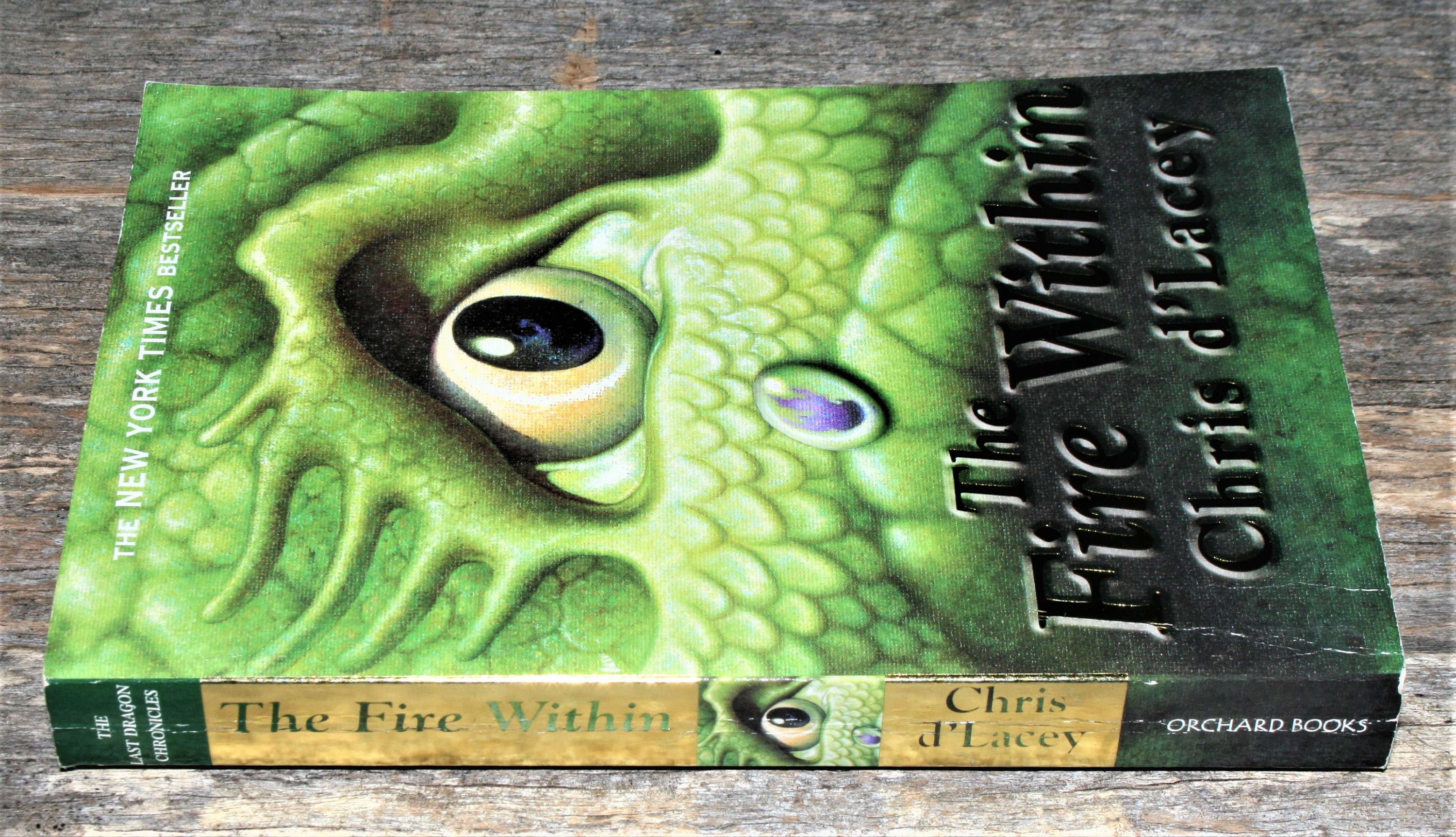 The Fire Within by Chris D'lacey - Last Dragon Chronicles