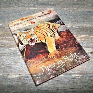 Tiger In Sight By Astrid Bergman Sucksdorff - 1970 Vintage Hardcover