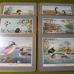 Pimpernel Water Bird Placemats - North American Water Birds - Vintage Cork Backed Placemats - Set Of Six Placemats In Original Box