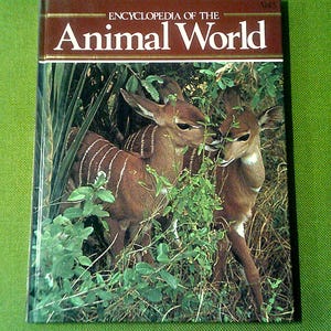 Encyclopedia Of The Animal World - Chinch Bug To Cow Birds - Vol 5 - 1982 Vintage Animal Reference Book - Pre-Loved Hardcover