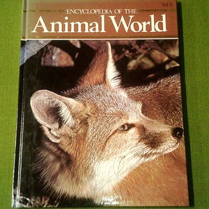 以下が含まれることがあります： 表紙にキツネのクローズアップ写真が掲載された「動物の世界百科事典」というタイトルの本。キツネは右を見ており、茶色と白の毛皮をしています。