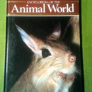 Encyclopedia Of The Animal World - Water Fleas To Zygote - Vol 21 - 1982 Vintage Animal Reference Book - Pre-Loved Hardcover