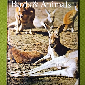 1973 World Book Encyclopedia - Etsy