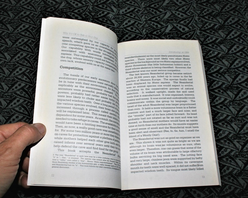 May include: Open book with a close-up of a page discussing the Neanderthal species. The text describes the Neanderthal's physical characteristics, including their brain size, facial features, and skull shape. The book also mentions the Neanderthal's extinction around 28,500 years ago.