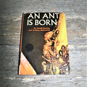 An Ant Is Born By Harold Doering And Jo Mary McCormick - 1964 Vintage Hardcover - Oak Tree Press