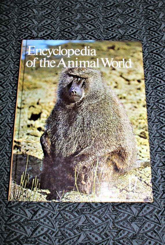 希少　洋書　1942年　古書　Animal Life Of The Encyclopedia of the Animal World - Rhebok to Shag - Vol 17