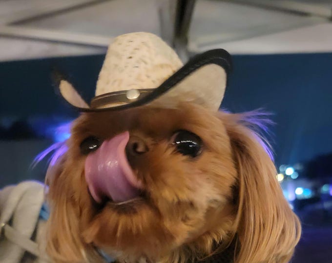 Mexican Handmade Cowboy Hat for Dogs – Mini Pet Sombrero