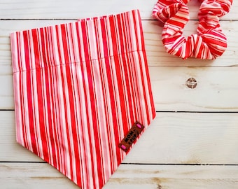Over the collar dog bandana and Scrunchie Set - Dog bandana, puppy bandana, girl dog bandana, boy dog bandana, small dog bandana, fall dog