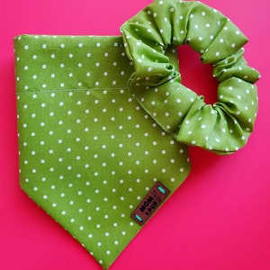 May include: Green bandana with white polka dots and a brown leather tag that says "MOM & PUP". A matching green scrunchie with white polka dots is also included.