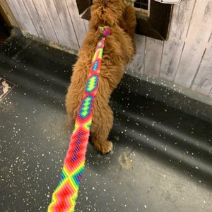 May include: A vibrant, multi-colored woven dog leash featuring a repeating geometric zigzag pattern in neon pink, yellow, green, and blue. The leash is attached to a brown, curly-haired dog standing near a sign that reads BEWARE OF DOG HE IS STRICTLY NON-VEGETARIAN.
