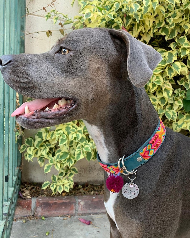 STORT mexikanskt hundhalsband - Läderhundhalsband, Tribal Hunddollar, Mexikanskt hundhalsband, Aztekiskt hundhalsband, Boho hundhalsband, Boho hund bild 4
