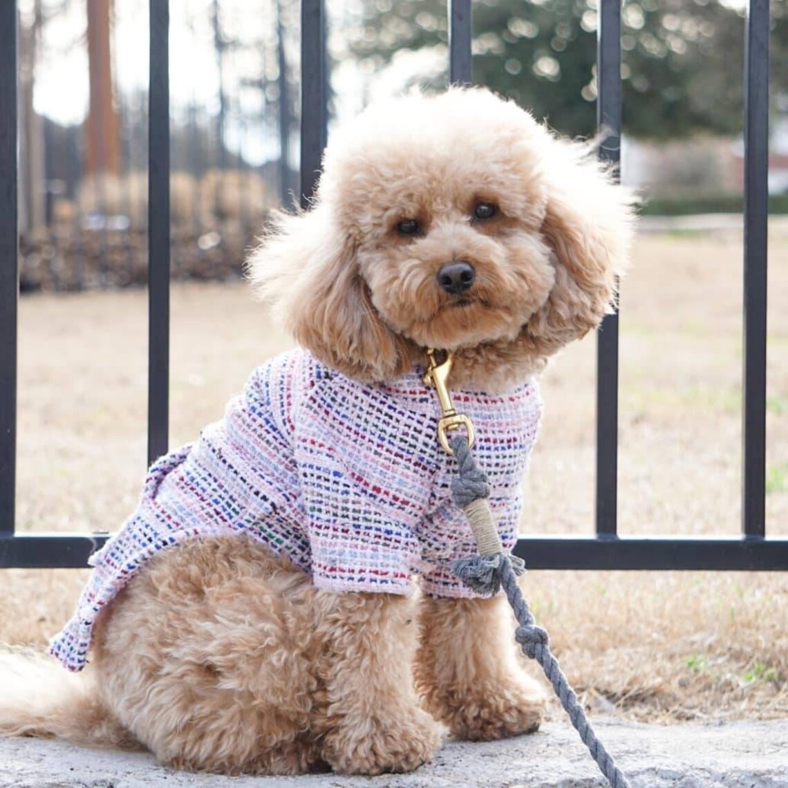 LARGE Baja Dog Poncho Mexican Dog Hoodie Dog Clothes Dog - Etsy