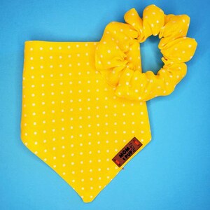Over the collar dog bandana and Scrunchie Set - Dog bandana, puppy bandana, girl dog bandana, boy dog bandana, small dog bandana, dog fall