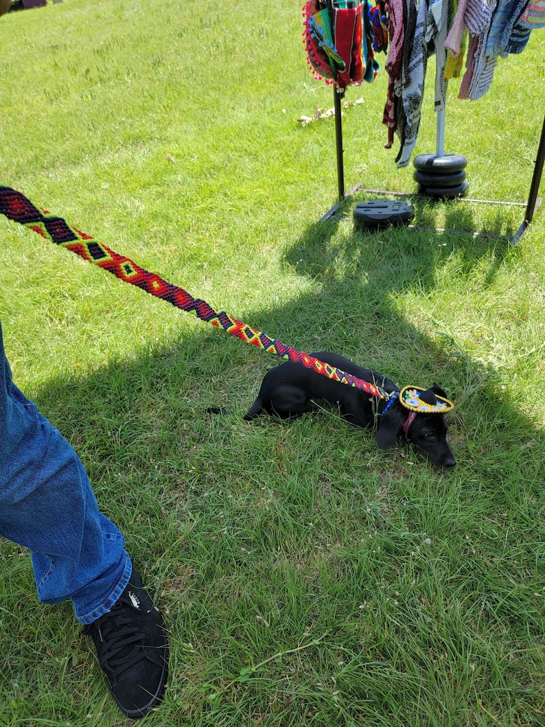 May include: A black dog wearing a small sombrero on its head, attached to a long, woven leash featuring a repeating diamond pattern in vibrant red, yellow, and green colors. The leash is held at one end, extending down to the dog's collar.