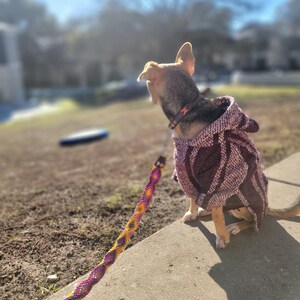 May include: A small dog wearing a textured, hooded poncho in shades of dark purple and white, attached to a vibrant, multi-colored woven leash featuring a repeating diamond pattern in orange, purple, and yellow, viewed from behind.