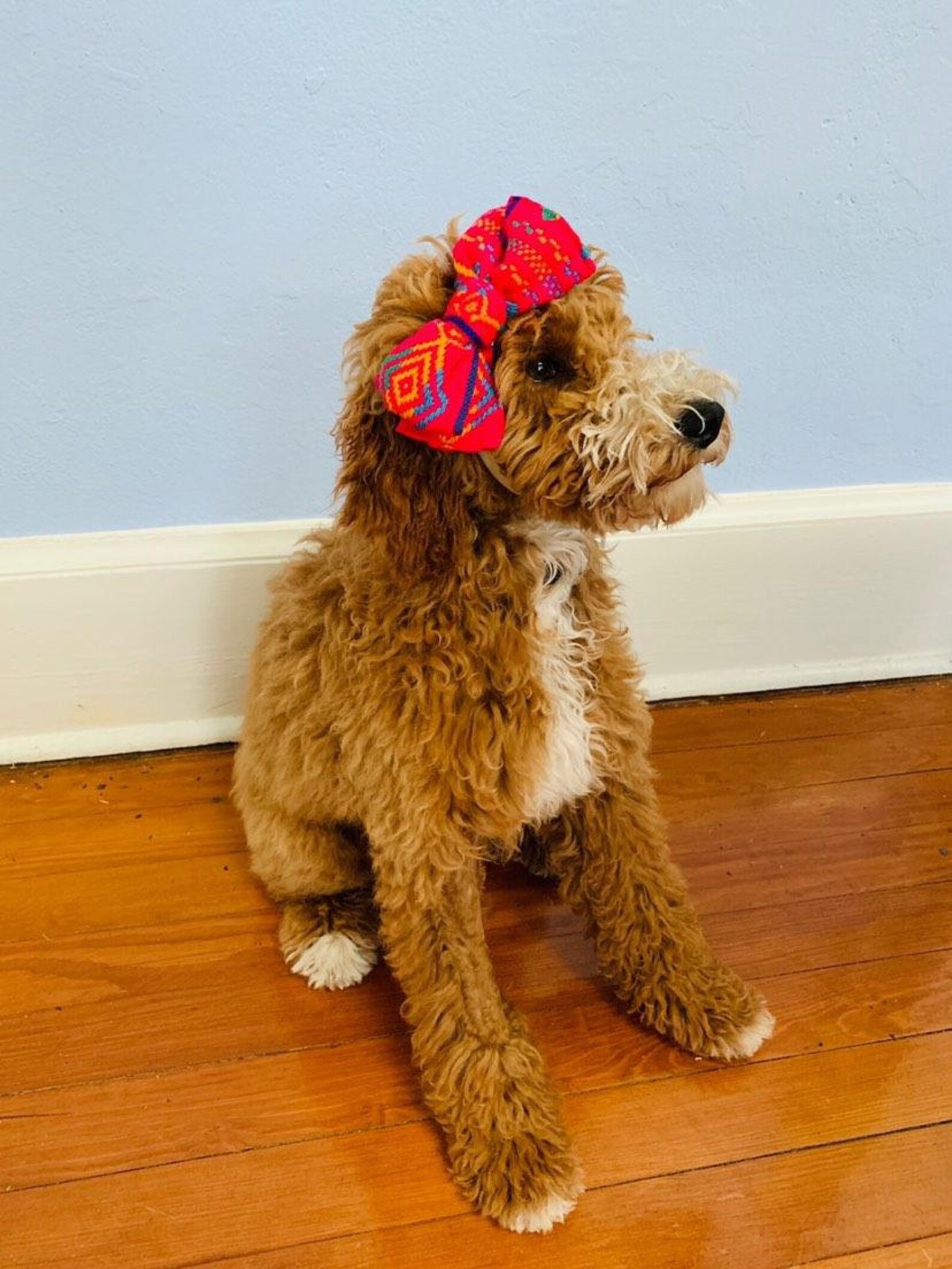 Dog Headbands and Clip on Bows - Dog Bow Band, Bowtie, Cat Pet Headband ...
