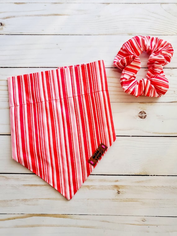Over the collar dog bandana and Scrunchie Set - Dog bandana, puppy bandana, girl dog bandana, boy dog bandana, small dog bandana, fall dog