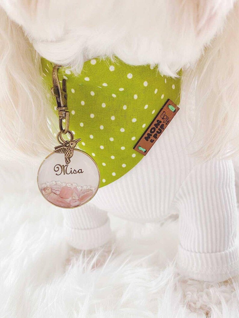 May include: A white dog wearing a green and white polka dot bandana with a brown leather tag that says "Mom & Pup Co." The dog is also wearing a personalized name tag with a hummingbird design and the name "Misa" written on it.