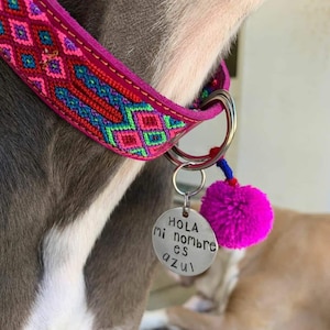 STORT mexikanskt hundhalsband - Läderhundhalsband, Tribal Hunddollar, Mexikanskt hundhalsband, Aztekiskt hundhalsband, Boho hundhalsband, Boho hund bild 3