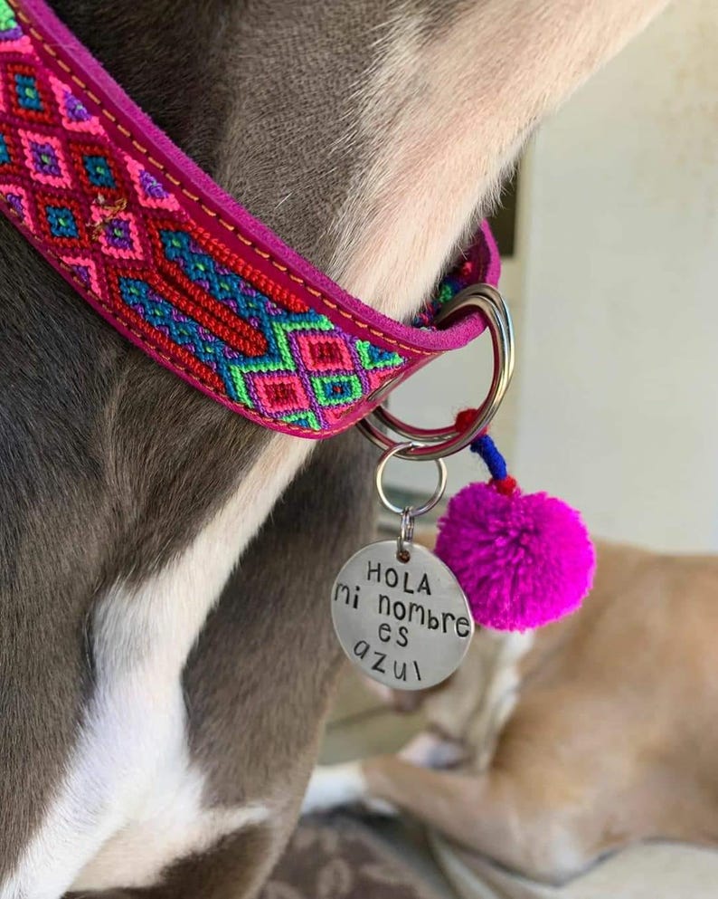 STORT mexikanskt hundhalsband - Läderhundhalsband, Tribal Hunddollar, Mexikanskt hundhalsband, Aztekiskt hundhalsband, Boho hundhalsband, Boho hund bild 3