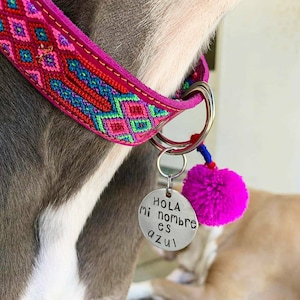May include: A silver dog tag with the text "Hola mi nombre es Azul" attached to a pink and blue pom-pom on a pink and green patterned dog collar.