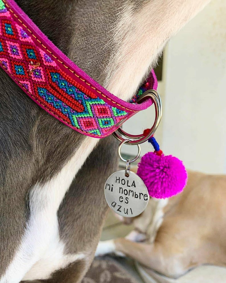 May include: A silver dog tag with the text "Hola mi nombre es Azul" attached to a pink and blue pom-pom on a pink and green patterned dog collar.