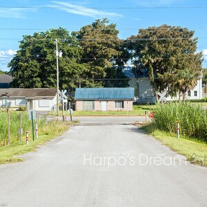 Belle Glade, houses and trees photo, fine art photography, The Space Between, Harpo&#39;s Dream