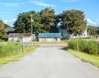 Belle Glade, houses and trees photo, fine art photography, The Space Between, Harpo's Dream