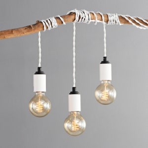White Black Plug in Pendant Industrial Modern Minimalist Hanging Swag Lamp Portable Lighting for Apartment Growing Plants STEP UP Etsy