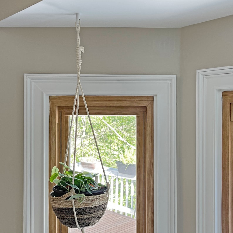 A white hanging planter hung on a white Easy Hook mounted on a white ceiling by the backyard door.
