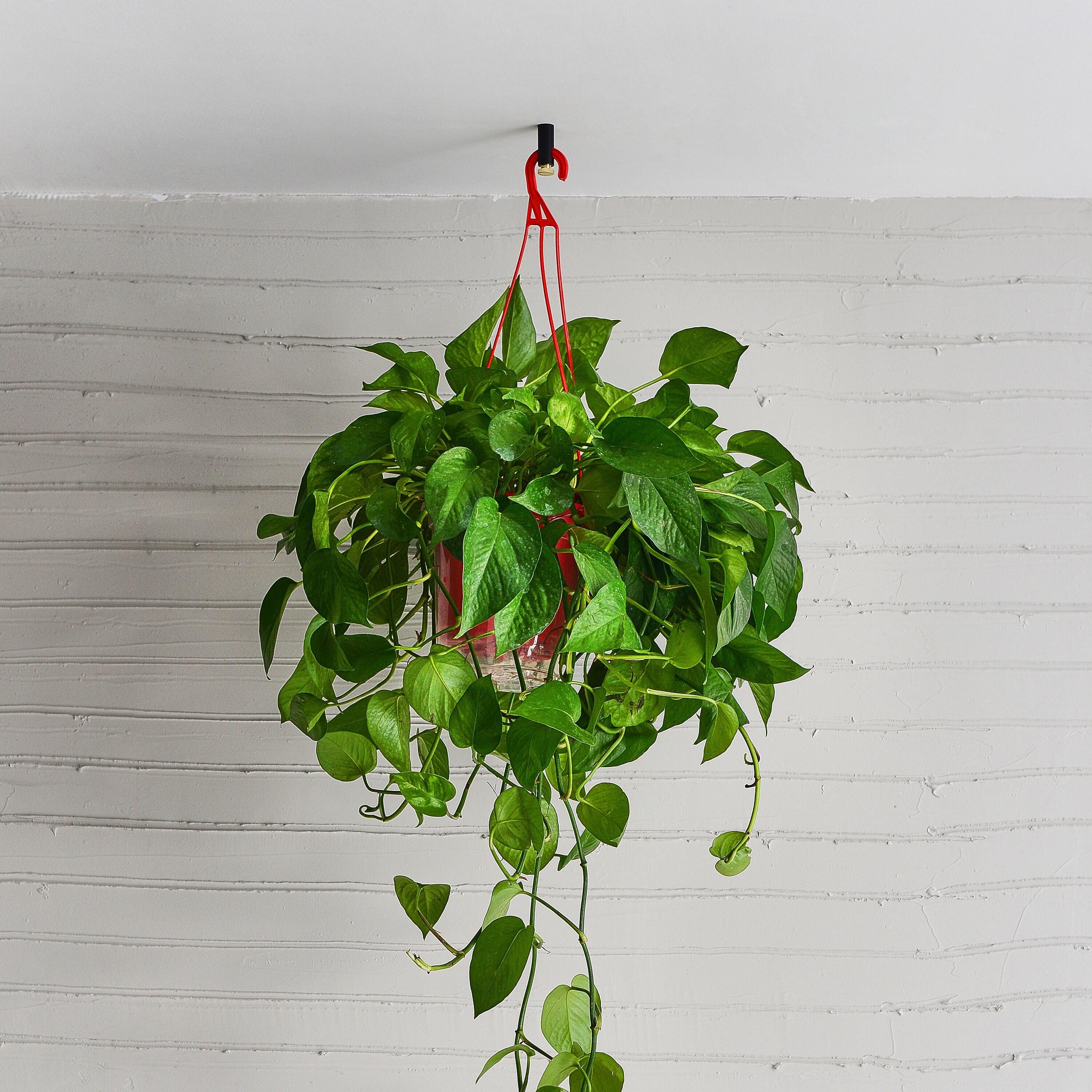 Swag Hook for Chandelier and Pendant Light Cord Management Etsy Canada