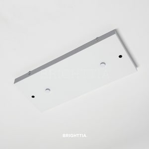 May include: A white rectangular ceiling light fixture with a gray trim. The fixture has two circular holes and two screw holes. The text "BRIGHTTIA" is printed on the fixture.