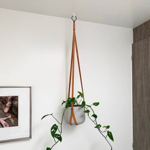 A leather strap hanging planter hung on a white Easy Hook mounted on a white ceiling.