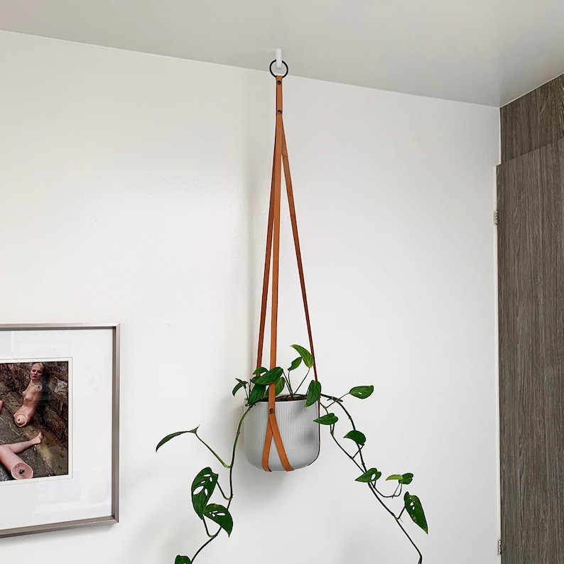 A leather strap hanging planter hung on a white Easy Hook mounted on a white ceiling.