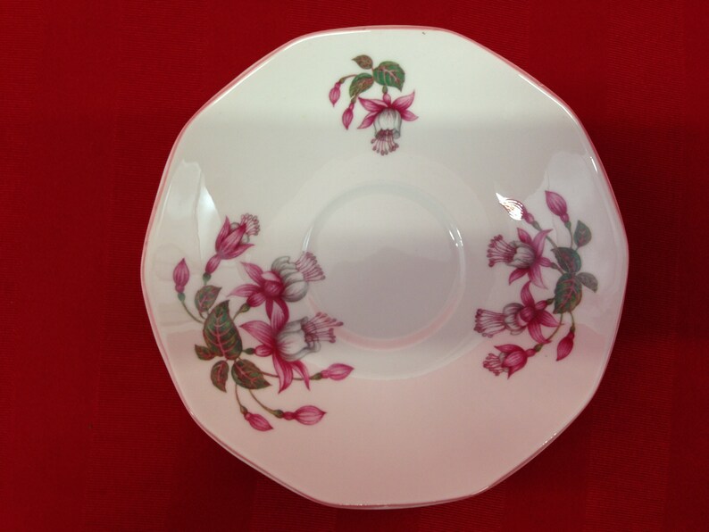 Queen's Fuchsia Snowcap Designed by J.W Bradley Bone China Tea Cup