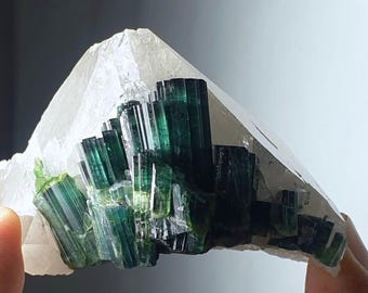 Natürliche Indigolith Farbe Turmalinbündel auf Quarz Specimen