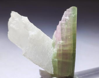 Wassermelonen-Turmalin Kristall kombiniert mit Quarz: Afghanistan Specimen 25 gram