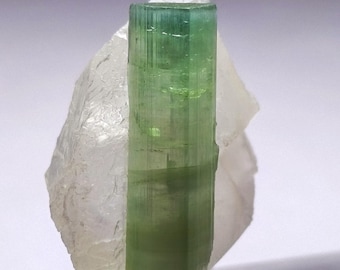 Bi-Color Turmalin Kristall mit Quarz (42 cts)
