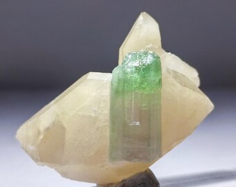 Wassermelonen-Turmalin Kristall mit Calcit: Afghanistan Specimen (70g)