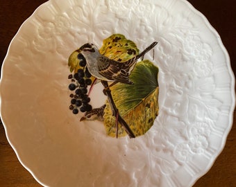 Audubon\u2019s Birds of America White Crowned Sparrow cream soup saucer by Alfred Meakin