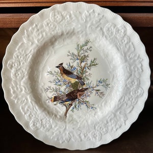 1940s Alfred Meakin “Audubon’s Birds of America” Cedar Bird dinner plate