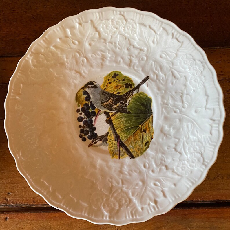 Audubon\u2019s Birds of America White Crowned Sparrow cream soup saucer by Alfred Meakin