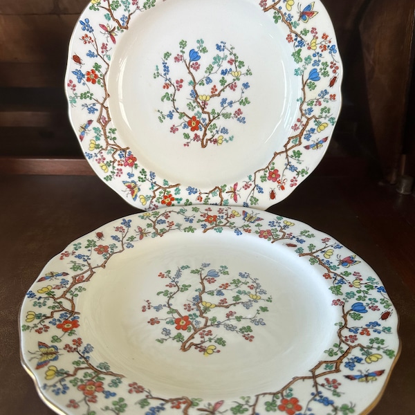 Set of 2 vintage Copeland Spode “Shanghai” luncheon plates