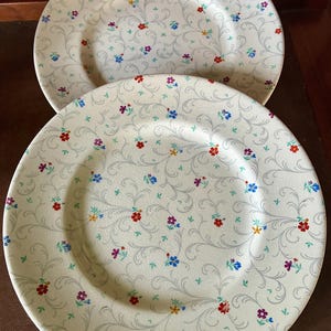May include: Two off-white ceramic plates with a floral pattern. The plates feature a delicate design of small red, blue, purple, and yellow flowers, along with gray swirling vines. The plates are a classic design for serving food.