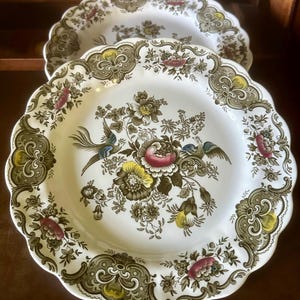 Set of 4 vintage Ridgway “Windsor” polychrome transferware dinner plates
