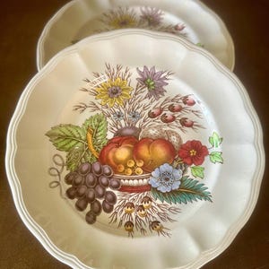 Set of 2 vintage Copeland Spode “Reynolds” bread/dessert plates