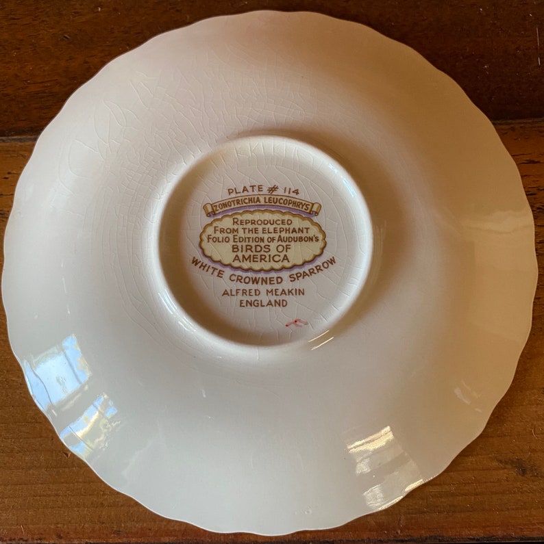 Audubon\u2019s Birds of America White Crowned Sparrow cream soup saucer by Alfred Meakin