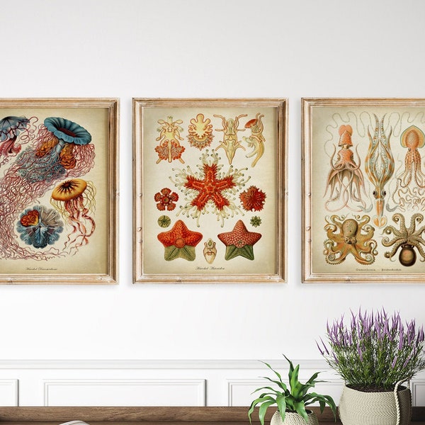 Sea Creatures Print SET of 3 PRINTABLE Vintage Nautical Illustration, Jellyfish Illustration, Sea Star, Octopus, Marine Biology Science Art.