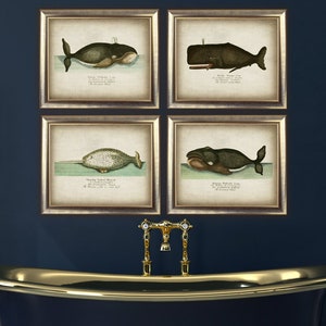 DRUCKBARE Wal Prints SET von 4 Vintage Wal Art Prints, Wandkunst, Maritime Wohnkultur Digitaler Download Bilder DIY, Strand Kunst Meerestiere